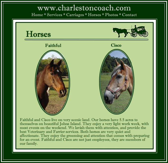 Charleston Coach is a luxury horse-drawn carriage service, specializing in distinctive weddings. Our carriage can be delivered to any location in the Charleston Area. Your Fairytale Awaits! (843) 709-0988